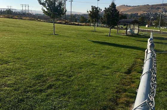 Tri-City Dog Park photo 1